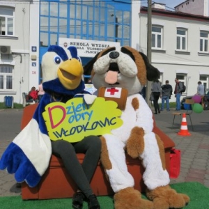 Dzień Dobry - kliknij, aby powiększyć